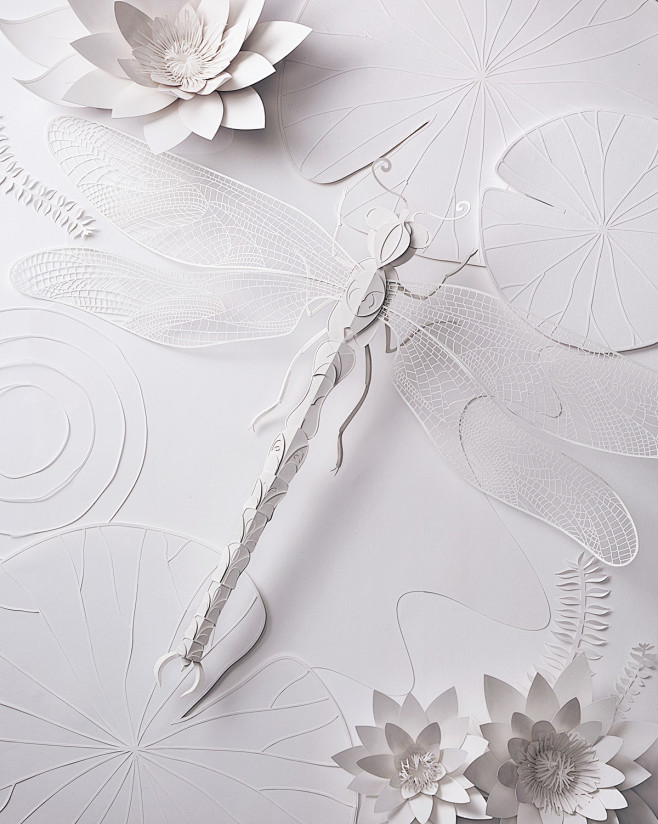 Paper dragonfly : Dr...