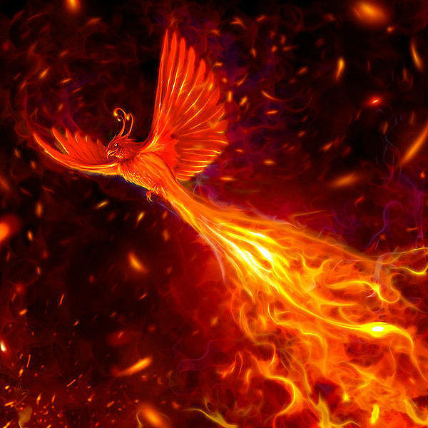 火焰凤凰火鸟图片