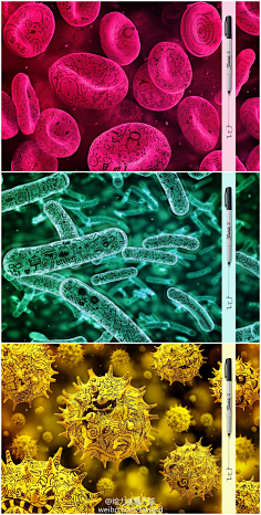 楚你妹-采集到germ