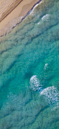 海