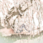 花笼插画图片壁纸
