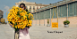 VEUVE CLICQUOT IS SOLAIRE : Please do not forward this content to persons under the legal drinking/buying age nor in countries with restrictions on alcoholic beverages.