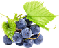 png紫葡萄绿葡萄酒水果素材(658×537)