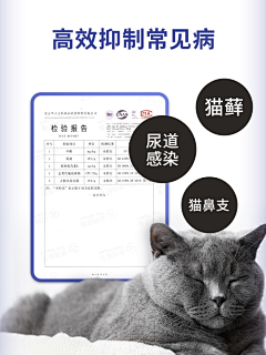 77_霓奏凯采集到设计案例-猫