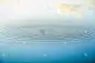 水波纹