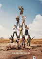 WWF：不要做猎杀金字塔的塔尖