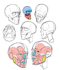 Drawing tips , TB Choi : https://www.youtube.com/watch?v=gemaRYPzgC4
This is my youtube charnel
 I make it for art tutorial