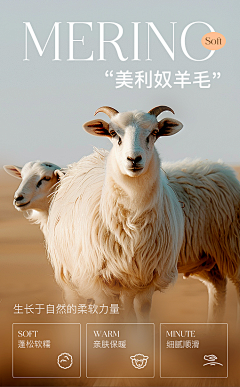 美美坚持采集到山羊棉羊