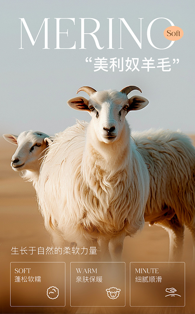 羊毛
