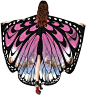 Amazon.com: Honeystore Butterfly Wings Cape Shawl Costume with Mask for Christmas Dress Up Party Royal Blue: Clothing