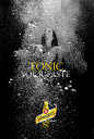 Schweppes Outdoor Ad -  Tonic