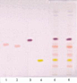 薄层层析的搜索结果_百度图片搜索