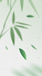 立春&春天光影感树枝布纹肌理组合背景