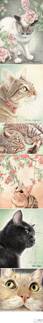 花间的猫咪格外适合晴好的午后，尤其是荻荘聖子手绘的彩铅猫|微刊 - 悦读喜欢