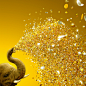 San Diego Zoo - 100 Years : This is a project we made for San Diego Zoo´s celebration of it´s 100 years in 2016. Cheers!Manipula team:Concept: Leo RochaCGI (elephant): Luiz AlvesCGI (confetti): Luiz Alves and Felipe MouraCGI (animation): Felipe Moura