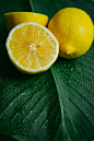 印尼餐桌上湿柠檬叶的特写图片素材