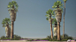 Forza Horizon 5 - Foliage Assets , Borys Udodenko : Really proud to share some of asset work that the foliage team did for Forza Horizon 5. This was a big team effort, congratulations to Jake Woodruff, Reece Prades and Alex Patel for their incredible work