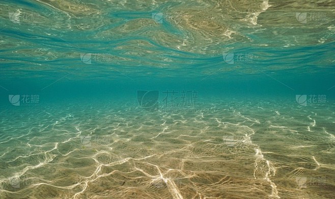 水下背景是海洋中的沙质海床