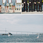 漂亮的海滨婚礼，经典的白绿色-婚礼素材收集者-汇聚婚礼相关的一切 #采集大赛#
