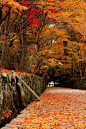 The approach to Kosho-ji temple, Kyoto, Japan #摄影师# #小清新#