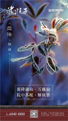 fly旬采集到节假日