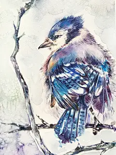 春雪