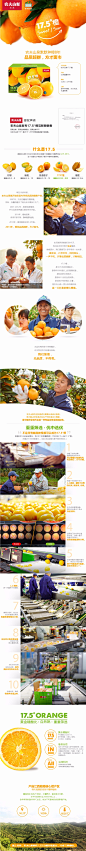 【易果生鲜】农夫山泉17.5°橙3.2KG（14个装）脐橙橙子水果-tmall.com天猫