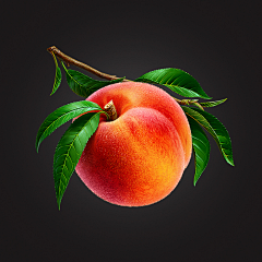 嘿逃皇后采集到fruit
