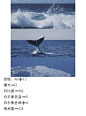 暗调蓝色
