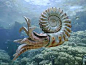 This is a 3D reconstruction of a extinct genus called Nautiloid by Dirk Wachsmuth. Nautiloids are members of a group of invertebrate animals called cephalopods ("head-foot"), relatives of the familiar octopuses and squid. Cephalopods originated 