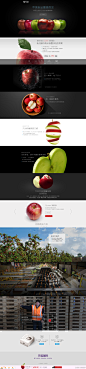 苹果详情页 设计 页面 科技感 苹果新品 吃的苹果 全球最大的苹果店-致设计-我们是电商设计师不是淘宝美工！