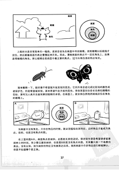 小兔丽-YwY采集到漫画分镜头教程