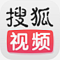 手机搜狐视频应用图标