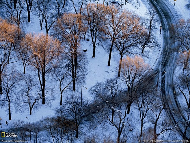 中央公园，美国纽约，冬景总是呈现出冷色调...