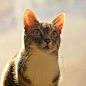 tumblr_pp02s5cH381teoi0jo1_1280.jpg (1280×1280)