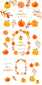 Thanksgiving clipart, Mini Pumpkins : These are perfect for every projects: • Art prints • Logos • Packaging • Stationery • Merchandise • Scrapbooking projects • Website and Social Media Banner • Book cover • Invitations •