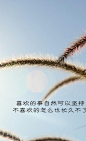 不管全世界...来自别哭花了妆的图片分享-堆糖网
