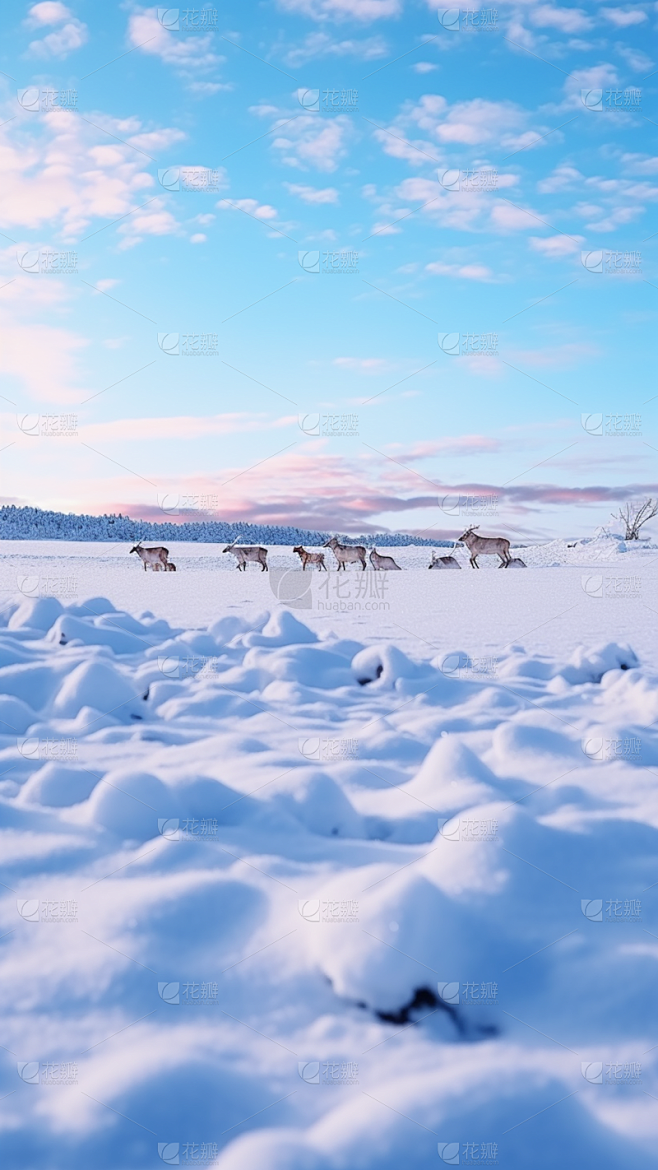 冬日冬季冬日雪景风景场景背景