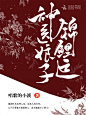 神医娘子锦鲤运2
