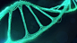 DNA HUD : DNA 