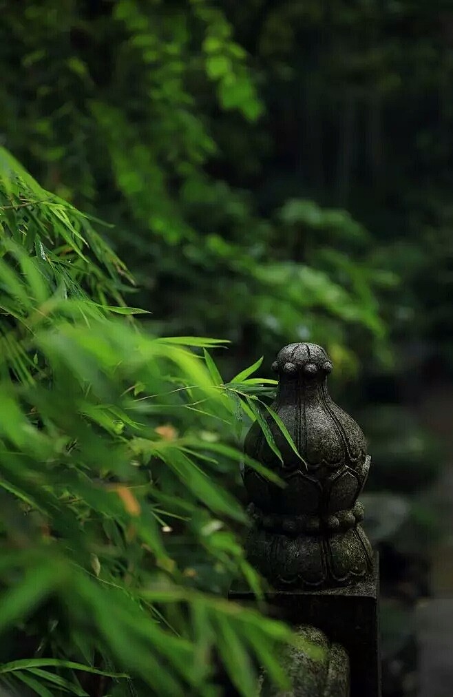 那日晴窗初过雨，当时小院静无声__唯美 ...