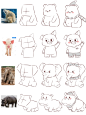 零基础学插画_抓型线稿练习之动物篇_2_画画的贝壳_来自小红书网页版 (1)