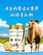 内蒙古驼可汗初乳骆驼奶粉无糖学生驼奶粉中老年驼乳粉成人骆驼乳-淘宝网