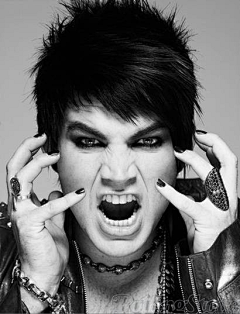 Cailt采集到Glambert