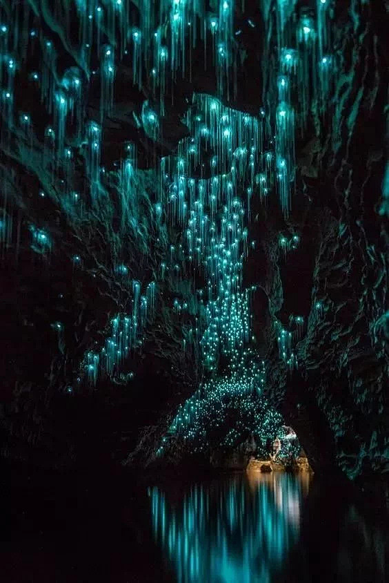新西兰的萤火虫洞穴