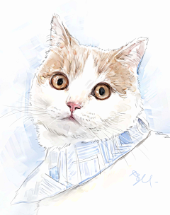 速画本采集到画猫，宠物画像，猫咪画像，猫咪手绘