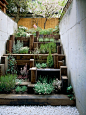 Image Spark - Image tagged "exteriors", "garden", "jason" - SueE