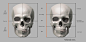 gusztav-velicsek-002-midpoint-and-thirds-of-the-skull