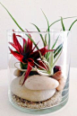 If you&#;39re using air plants, you can skip the soil and opt for decorative rocks and sand instead - from The Sill&#;39s top terrarium tips via Refinery29.