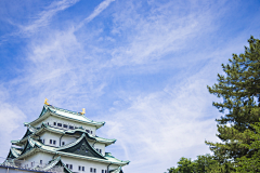 往后不会比今天更差采集到自然、风景
